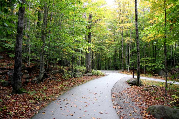 walking path - fall - loving an addict - summit behavioral health